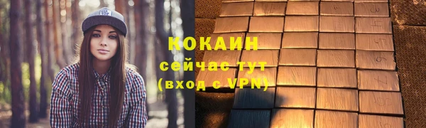 дживик Абаза