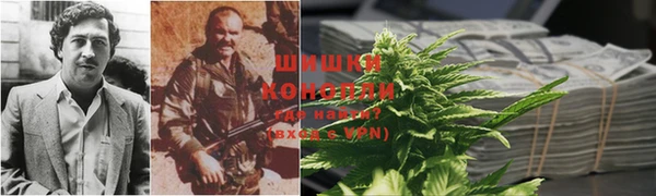 дживик Абаза
