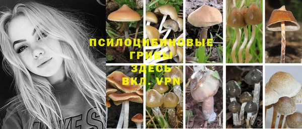ECSTASY Абдулино