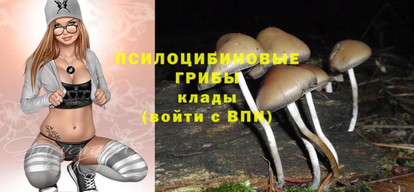 apvp Абинск