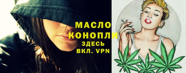 дживик Абаза
